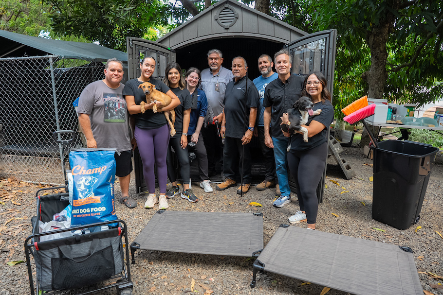Kia reafirma su compromiso con las mascotas en Puerto Rico - Article cover image.